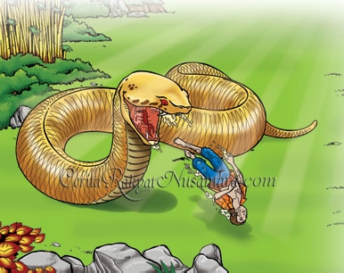 Bulu Pamali